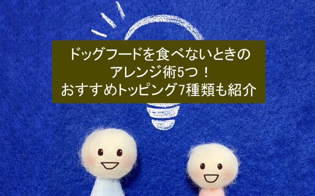 ドッグフードを食べないときのアレンジ術